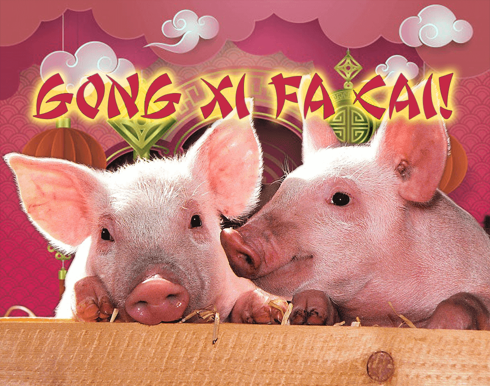 yearofpigs