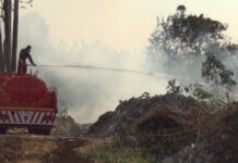 As Bangkok Clears, Provinces Choke on Seasonal Smoke A worker tries to put out forest fire in Phrae province in this undated photo.