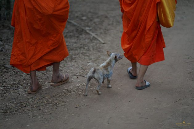 Photo: Ekkachai Arinthamo / Courtesy
