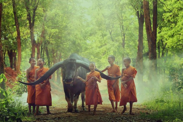 Photo: Ekkachai Arinthamo / Courtesy