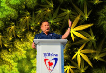 High Stakes: Thai Party Plants Seeds for Pot Revolution Bhumjaithai Party leader Anutin Charnvirakul has gone all in on legalization of cannabis. He leads the largest party to call for full legalization.