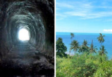 Tourists Drawn to Light at End of Samui Tunnel (Video)