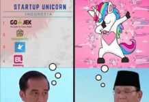 Unicorns Are Real: Indonesian Candidate Baffled by Tech Image: Menapak_id / Twitter