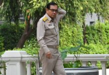Politico Wants Prayuth Disqualified From Election Race
