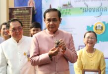 Junta Deputy to Lead Selection of Senators