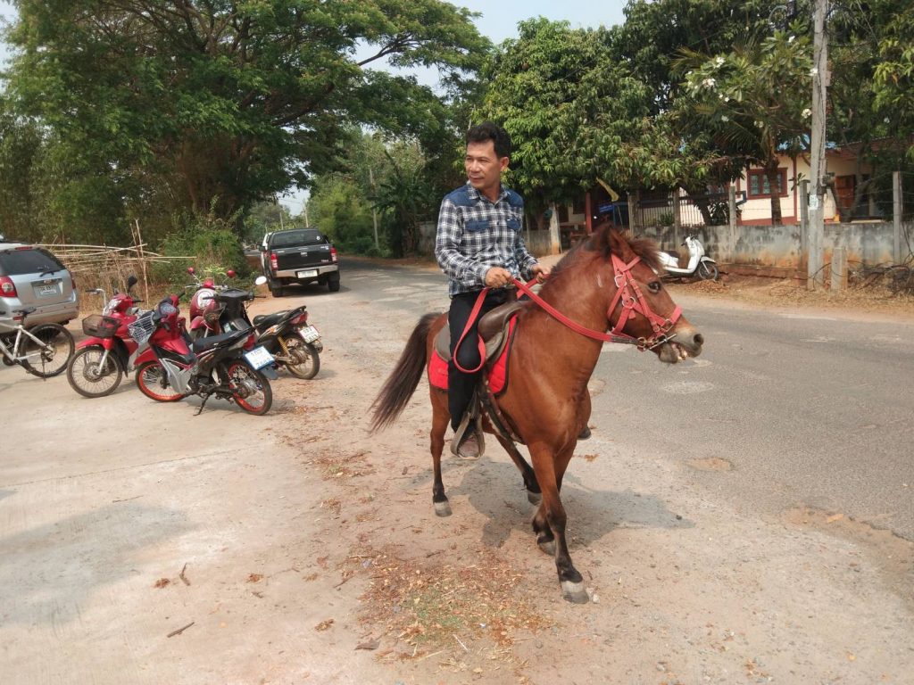 Surapol Polchim rides his horse Sam on Sunday in Nakhon Ratchasima province.