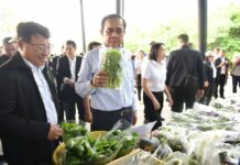 400 Senator Candidates Shortlisted for Prayuth