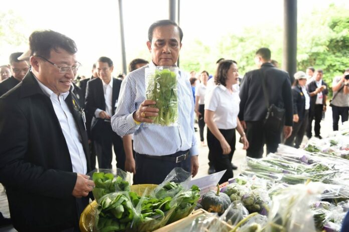 Junta chairman Prayuth Chan-ocha picks vegetables at a market in Rayong province on Feb. 27.
