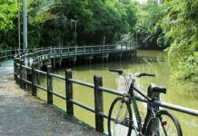 Govt Moves to Protect Bangkok’s Famed ‘Green Lung’ A file photo of a canalside path in Bang Kachao, Samut Prakan.