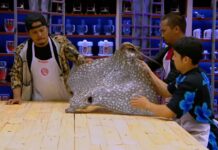 Stingray Cooking Contest Draws Online Fury