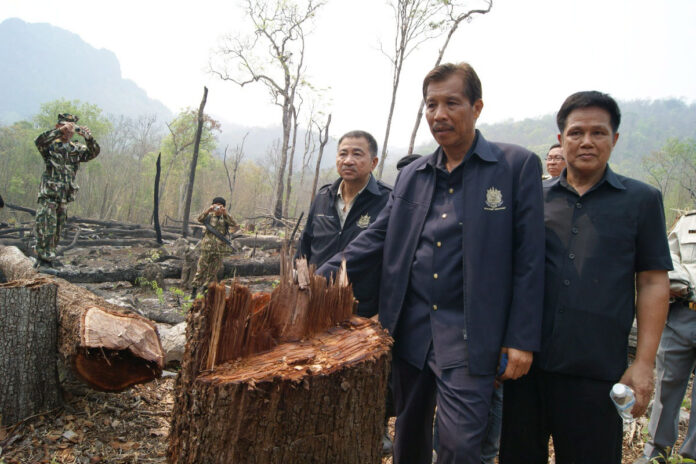 Damrong Phidej, then parks director, investigates illegal logging in 2012.