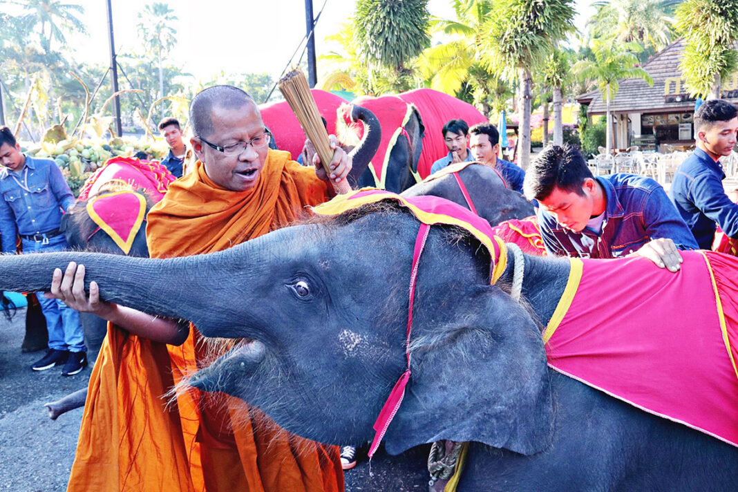 A monk blesses an elephant in an event Wednesday at Chonburi's Nong Nooch Tropical Garden.