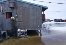 Pace of Bering Sea Changes Startles Scientists In this Feb. 12, 2019 photo provided by Philomena Keys, high water pushed up the Yukon River from the Bering Sea floods yards around homes in the western village of Kotlik, Alaska. Photo: Philomena Keys via AP