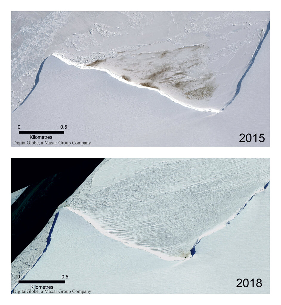 This combination of satellite photos provided by Maxar Technologies via the British Antarctic Survey shows the site of the Halley Bay emperor penguin colony in 2015 and 2018. Photo: Satellite Images ©2019 Maxar Technologies / British Antarctic Survey via AP 