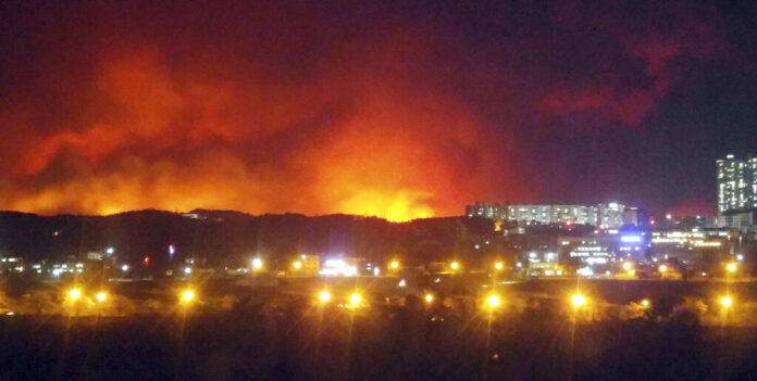A wildfire burns Thursday in Goseong, South Korea. Photo: Lee Jong-geun / Yonhap via AP