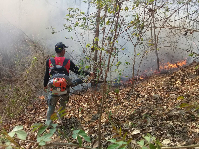 A forest official extinguishes a forest fire Monday in Mae Hong Son.
