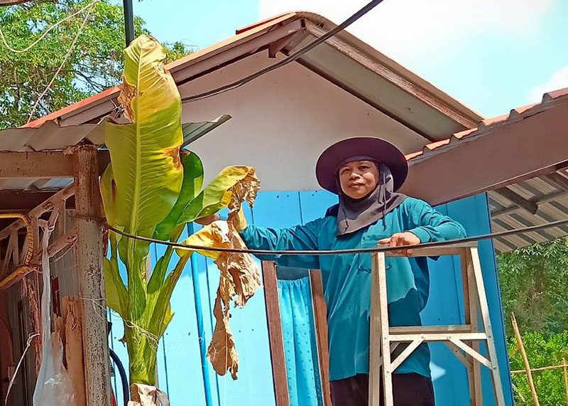 A woman stands next to a banana tree that has withered in the sun in Prachinburi on Saturday.