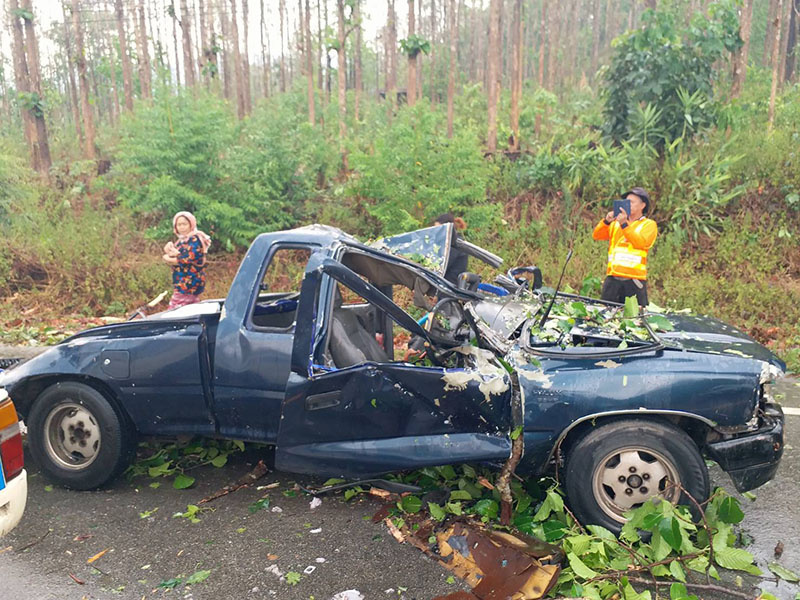 The car that Nhormuekae Kerdsuklert died in on Sunday in Chiang Mai after a tree fell on her car.
