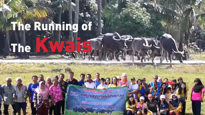 KWAI 16-9