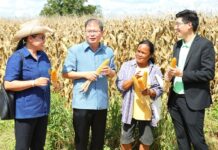 Cpf’s “Self-Sustaining Farmers, Sustainable Corn” Enters Fourth Year, Aimed to Ensure Sustainable Plantation, Income and Environmental Protection