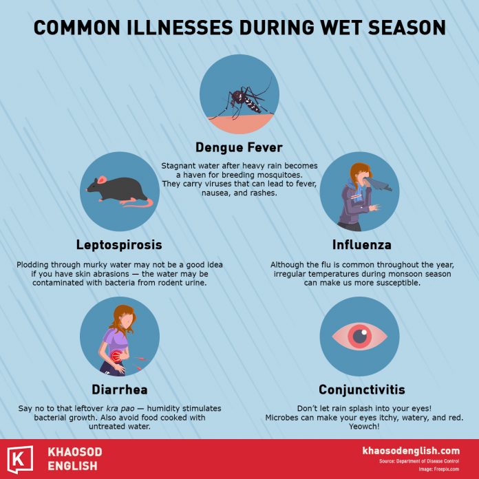 Dengue Outbreak Soars With Other Wet Season Diseases