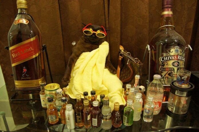 A file photo of Johnny from his glory days