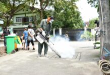 Dengue Outbreak Soars With Other Wet Season Diseases
