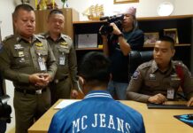 Cops Arrest Chinese Guide Posing as Thai National