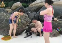 Chinese Tourist Cleared of Killing Urchins (Updated)