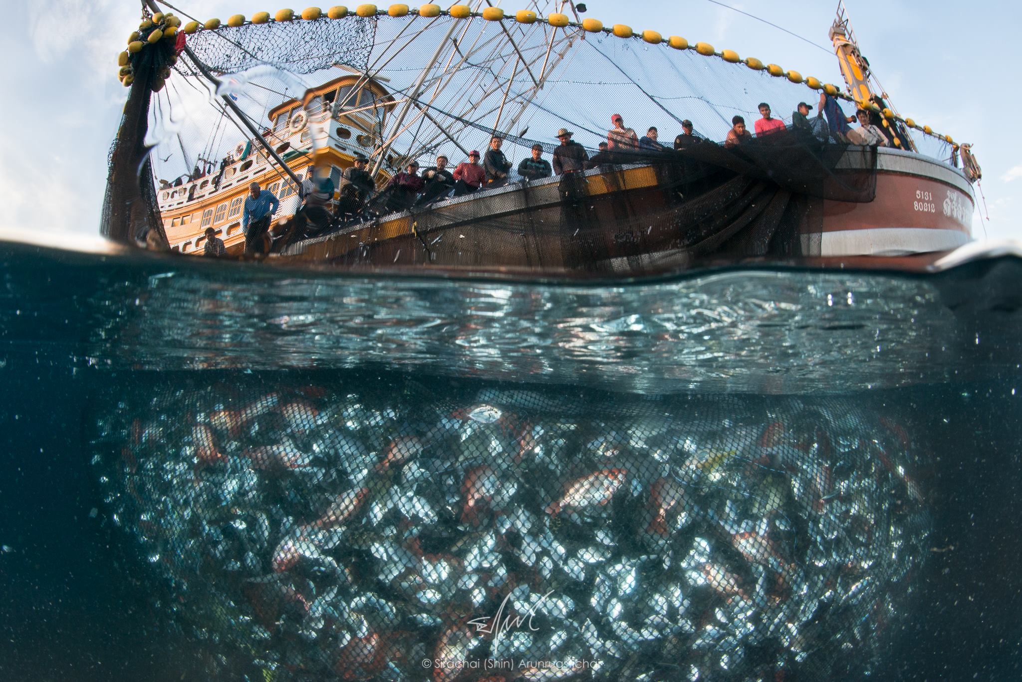 A fishing boat’s haul from the Andaman sea, taken in October 2016. Photo: Sirachai Arunrugstichai / Courtesy