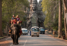 Angkor Wat to End Elephant Rides Tourists taking an elephant ride near Angkor Wat in April 2019. Photo: Moving Animals / Courtesy