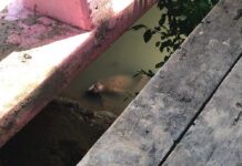 ‘Drowned Man’ Rises, Startles Rescue Workers