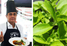 Prayuth Urges Thais to Use Stevia When Cooking Left, Gen. Prayuth Chan-ocha makes a kho-khun beef steak while visiting an agriculturalist association in Mukdahan province on Feb. 6, 2019. Right, a stevia plant grown by La-ong Sriwanna of Chiang Mai.