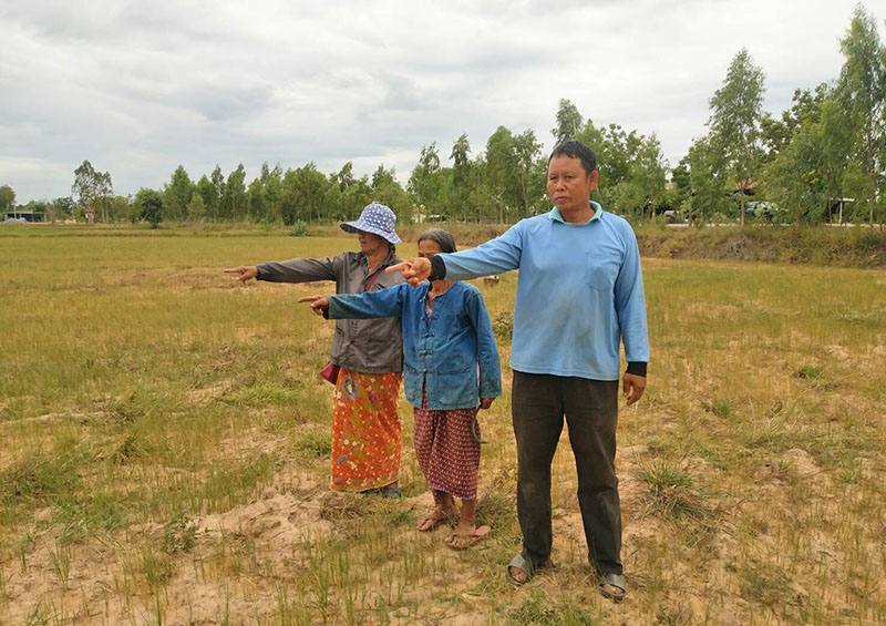 Jaras Lorthaisong, right, points to dead rice paddies July 23, 2019 in Nakhon Ratchasima.
