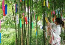 Celebrate Tanabata in Ayutthaya’s Historic Japanese Village