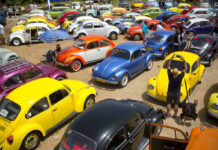 From Nazis to Hippies: End of the Road for Volkswagen Beetle n this April 21, 2017 file photo, Volkswagen Beetles are displayed during the annual gathering of the "Beetle club" in Yakum, central Israel. The Israeli Beetle club was founded in 2001 and there are 500 members. Photo: Oded Balilty / AP
