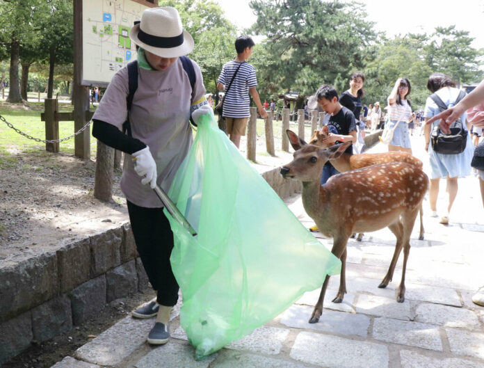 A volunteer picks up plastic products during a cleanup campaign at a famed park in Nara, western Japan, Wednesday, July 10, 2019. Nine deer at the park have died recently after swallowing plastic bags. Nara Park has more than 1,000 deer and tourists can feed them special sugar-free crackers sold in shops nearby. The crackers don’t come in plastic bags, but people still carry them. A veterinarian says the deer may associate the plastic with food. Photo: Kyodo News via AP