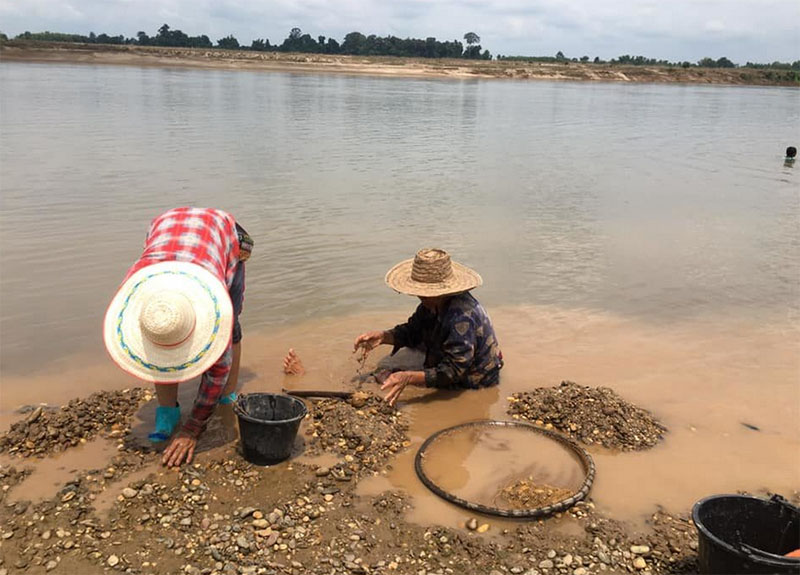 Locals gathering shells in Bueng Kan.