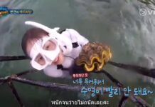 South Korean Actress Charged for Catching Giant Clams