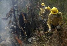 G7 Leaders Vow to Help Brazil Fight Fires, Repair Damage