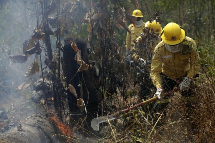 Firefighters work to put out fires in the Vila Nova Samuel region, along the road to the National Forest of Jacunda, near to the city of Porto Velho, Rondonia state, part of Brazil's Amazon, Sunday, Aug. 25, 2019. (AP Photo/Eraldo Peres)