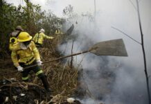 G-7 Nations Pledge $40 Million to Fight Amazon Fires
