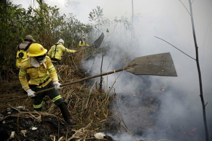 Firefighters work to put out fires along the road to Jacunda National Forest, near the city of Porto Velho in the Vila Nova Samuel region which is part of Brazil's Amazon, Monday, Aug. 26, 2019. (AP Photo/Eraldo Peres)
