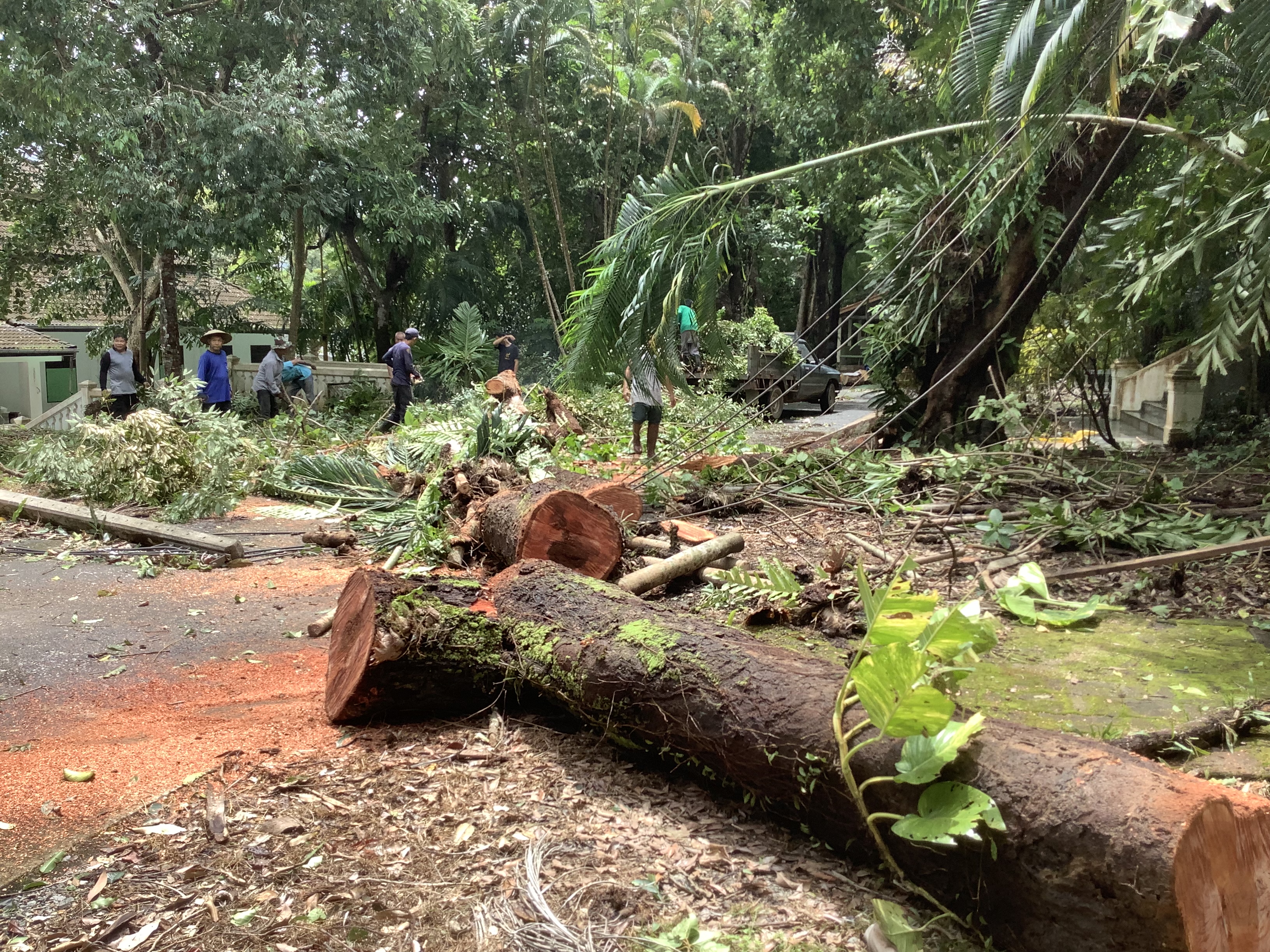 Effects of a Wednesday night tropical storm in Trat.