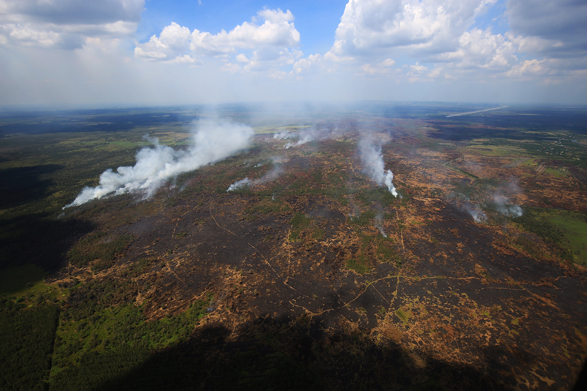 Scorched earth: Pa Phru Kuan Kreng's burnt forest on Aug. 20, 2019. 