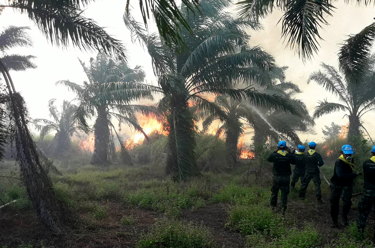 Officials try to extinguish a fire at Pa Phru Kuan Kreng on Aug. 20, 2019. 