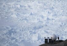 What Makes Greenland So Appealing That Trump Would Want It?