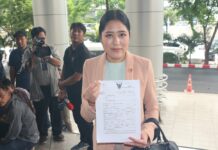 Pannika Files Libel Charges Against Parina for Fake News