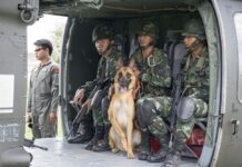 Looking For Good Boys? Army to Auction 81 Bomb Squad Dogs