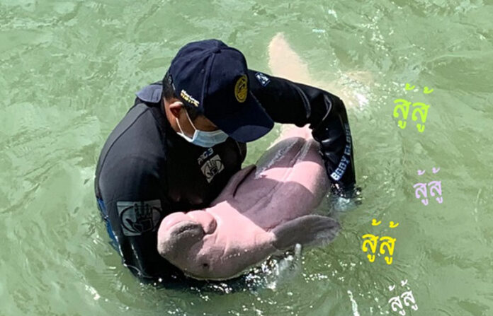 A caretaker cradles Marium while she is sick on Aug. 10, 2019 in Trang.